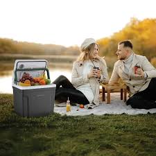 Mini Cooler Collection Qatar
