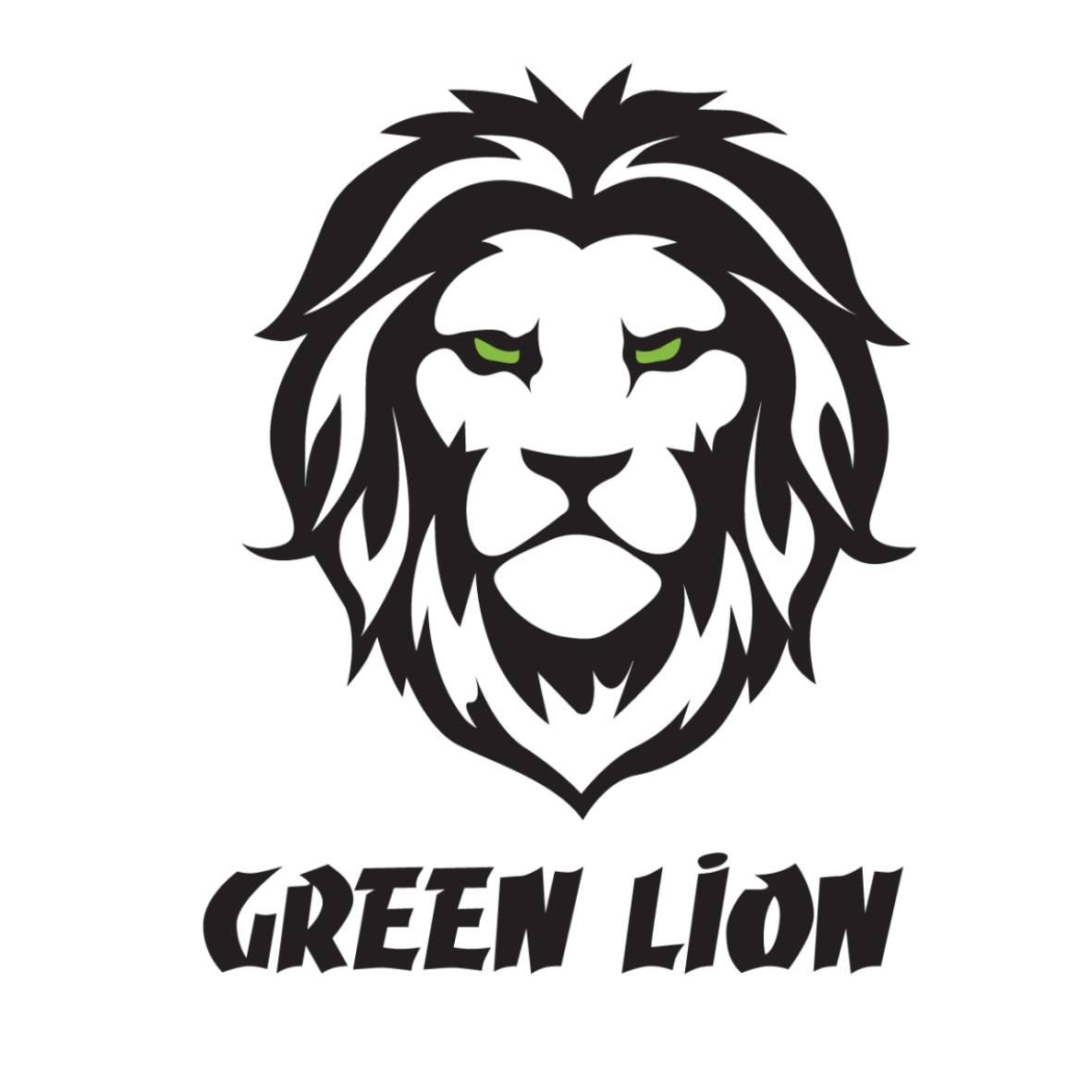 Green Lion collection featuring smart gadgets, kitchen appliances, travel accessories, health and fitness products in Qatar