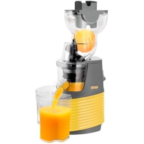 DSP KJ3071 250W Professional Slow Juicer Machine Qatar