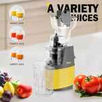 DSP KJ3071 Fruit and Vegetable Slow Juicer 250W Qatar